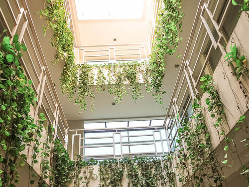 Legreen Suite Pejompongan Jacarta Exterior foto